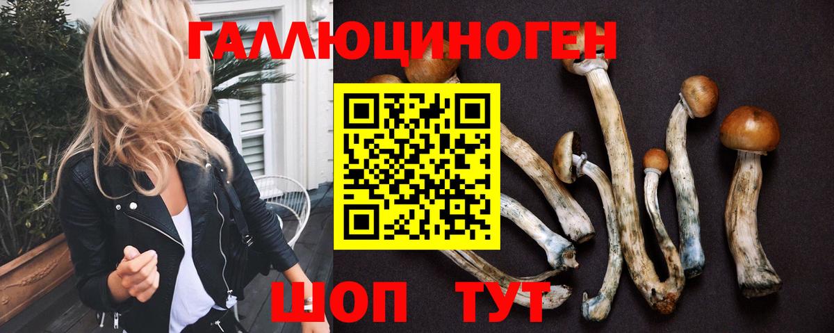 Мценск  Псилоцибиновые грибы Psilocybe  закладки  Вход с VPN 