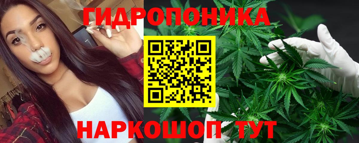 Шишки марихуана гибрид  Бошки марихуана VHQ  МАРИХУАНА Bruce Banner  Мценск  Вход с VPN 