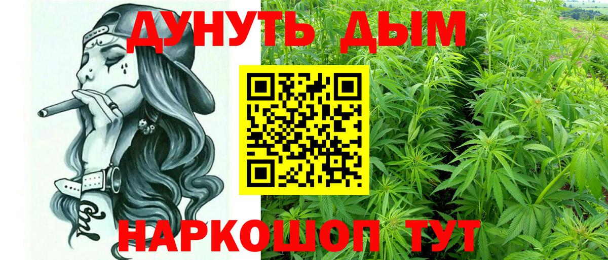 Конопля сатива Мценск